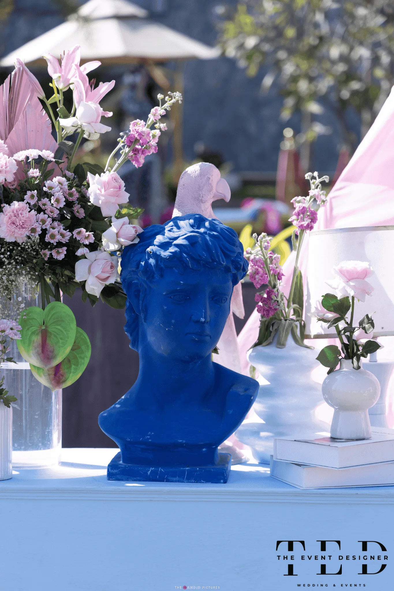 udaipur destination wedding places