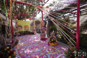 Nitish Jeevika Wedding Portfolio 4