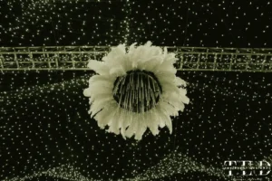 Parivarik Milan 2025 Image 12