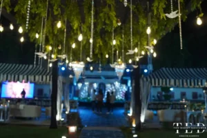 VardhmanAkshjaa Wedding portfolio Ted 34