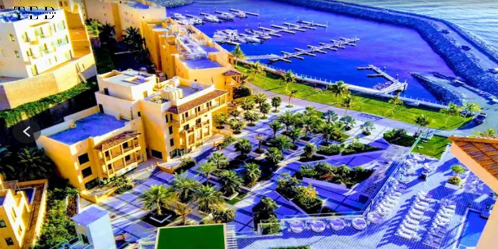 Wedding Planner in Fujairah & Ajman Wedding Planner in Fujairah & Ajman