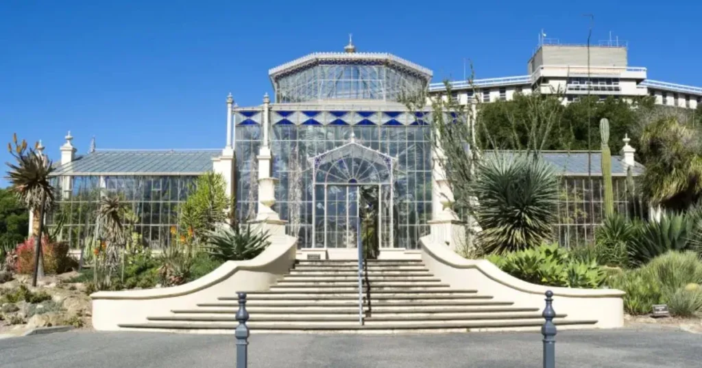 Wedding Planners in Sydney Wedding Planners in Sydney