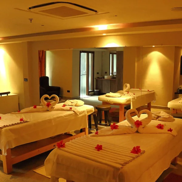 Radisson Blu Udaipur Wedding Venue: Rooms, Capacity & Event Spaces | The Event Designer Radisson Blu Udaipur Wedding Venue: Rooms, Capacity & Event Spaces | The Event Designer