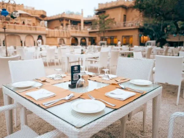 Ajit Bhawan Palace Jodhpur 19
