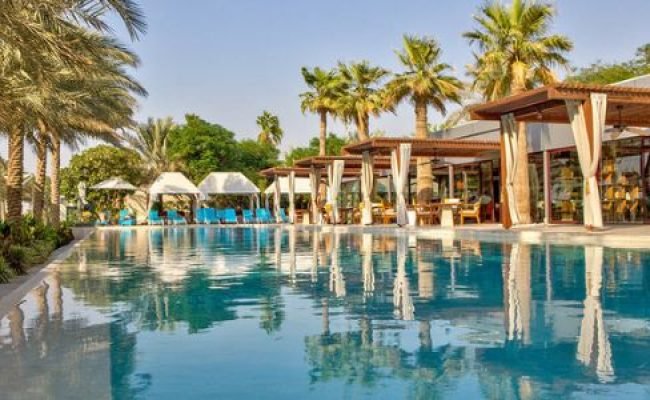 Desert Palm Retreat