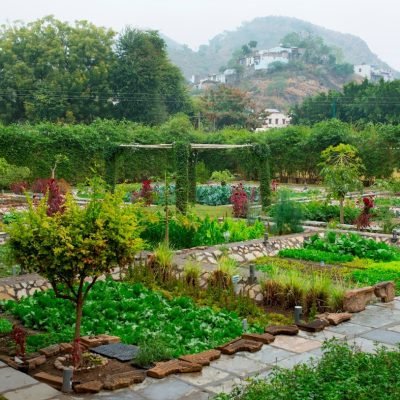 RAAS Devigarh 8