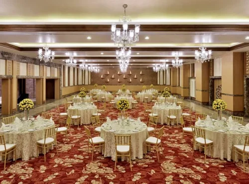 Radisson Hotel Jodhpur 7