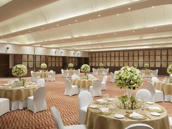 Taj Devi Ratn Resort & Spa Jaipur 2