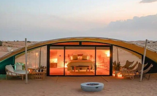 The Nest by Sonara Camp