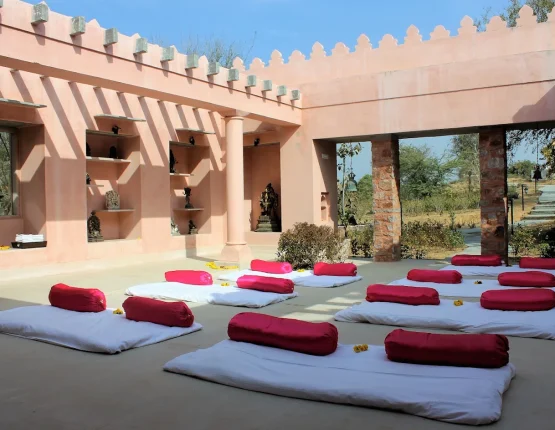 Tree of Life Resort & Spa Jaipur 6